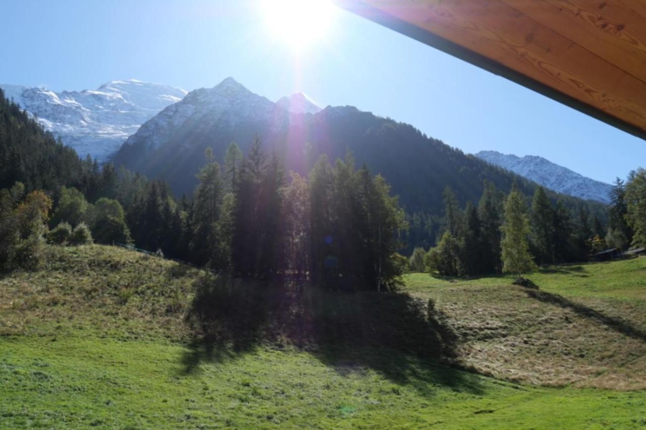 Modern Chalet With Garden Chamonix Dış mekan fotoğraf