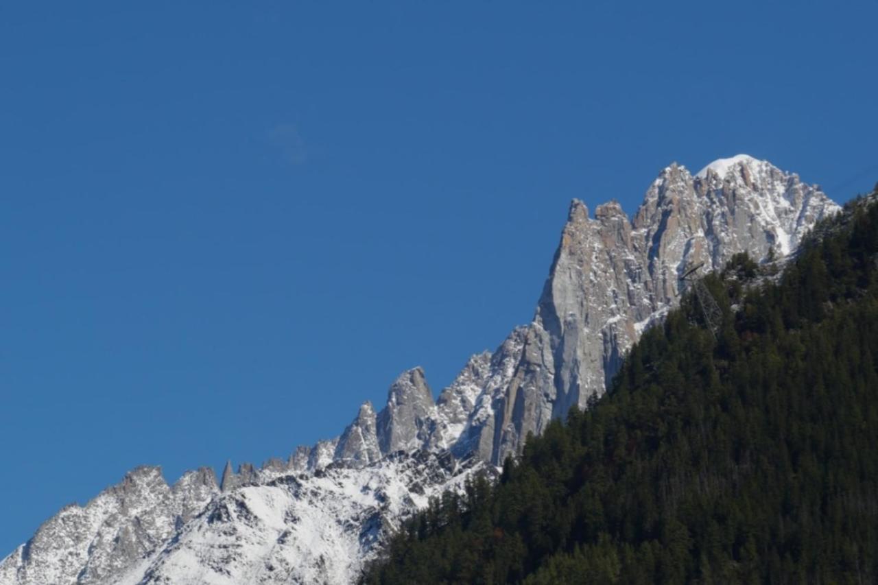 Modern Chalet With Garden Chamonix Dış mekan fotoğraf