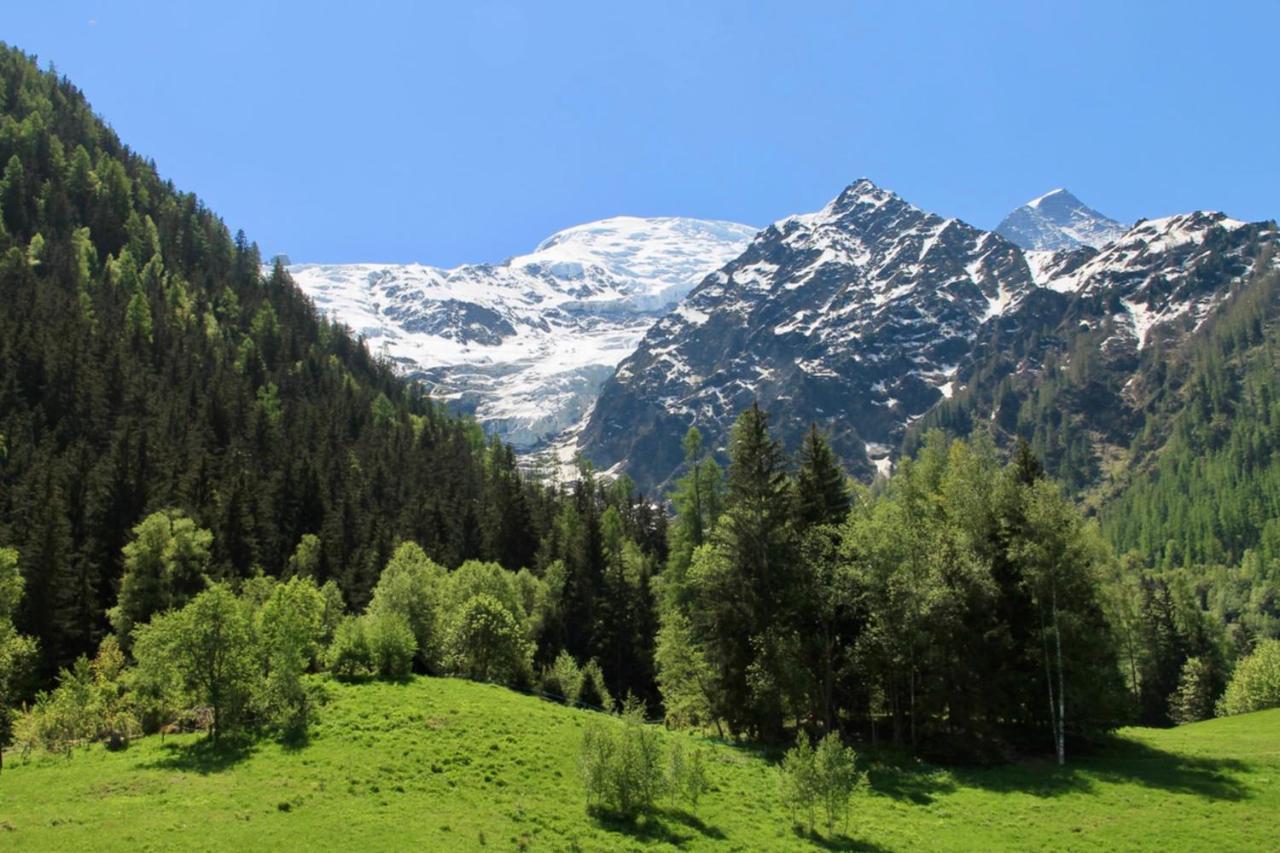 Modern Chalet With Garden Chamonix Dış mekan fotoğraf